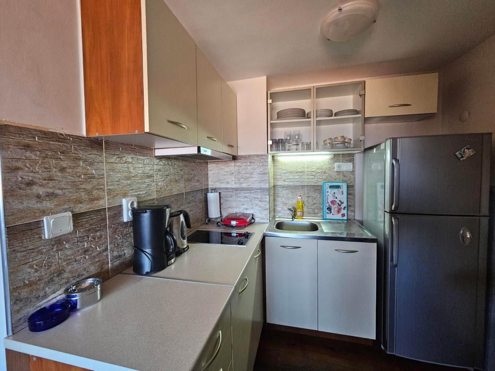 Ioannis Apartment Bansko Ngoại thất bức ảnh